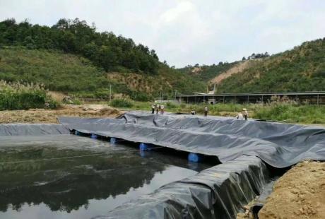 LDPE (Low Density Polyethylene) Geomembrane