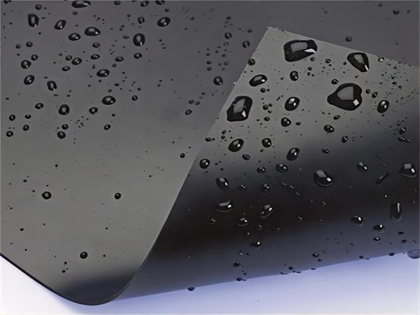 Geomembrane Liner Manufacturer with Good Price