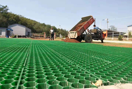 Grass Planting Grid